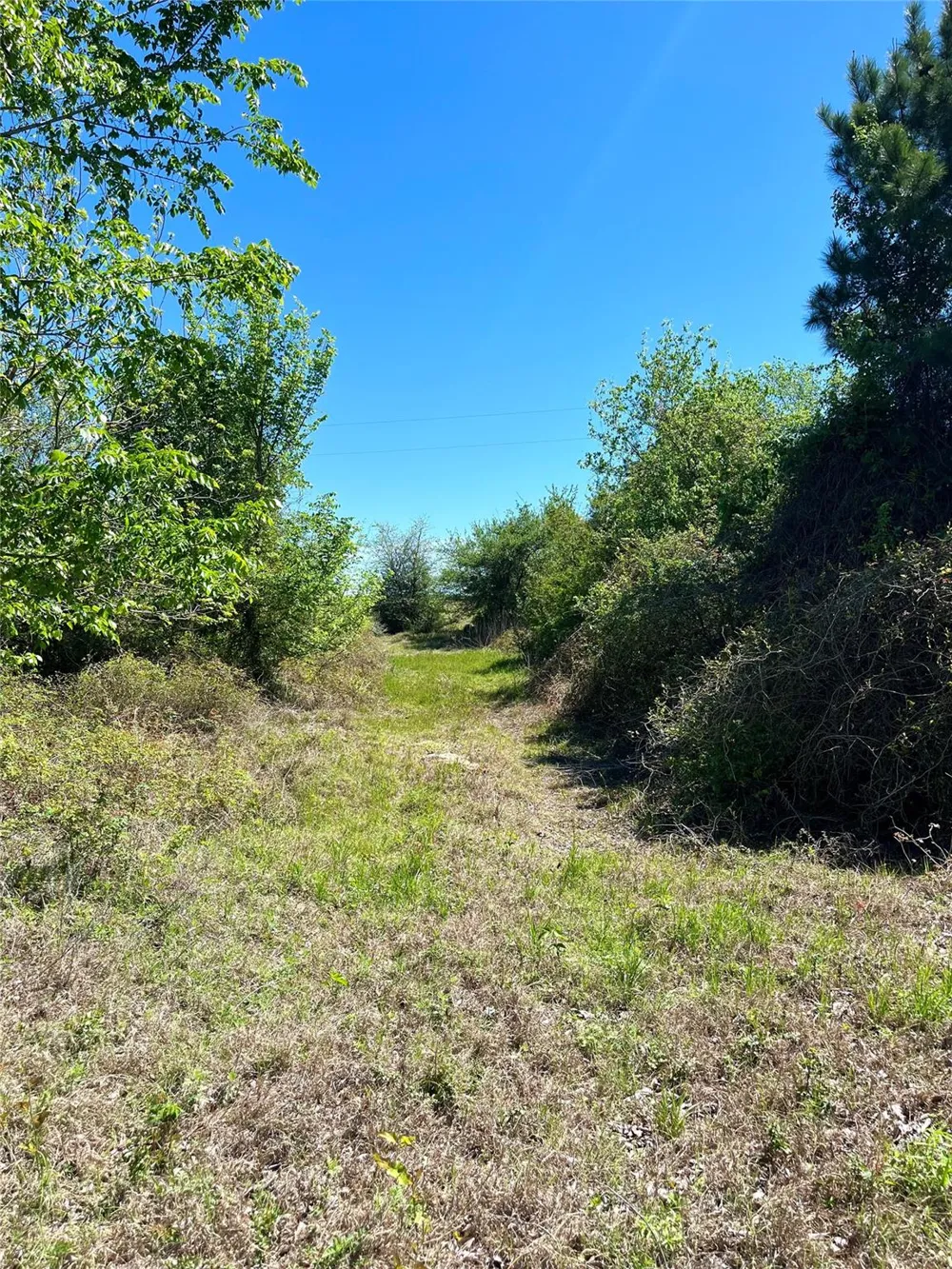 2654 County Road 329 Lincoln, TX 78948