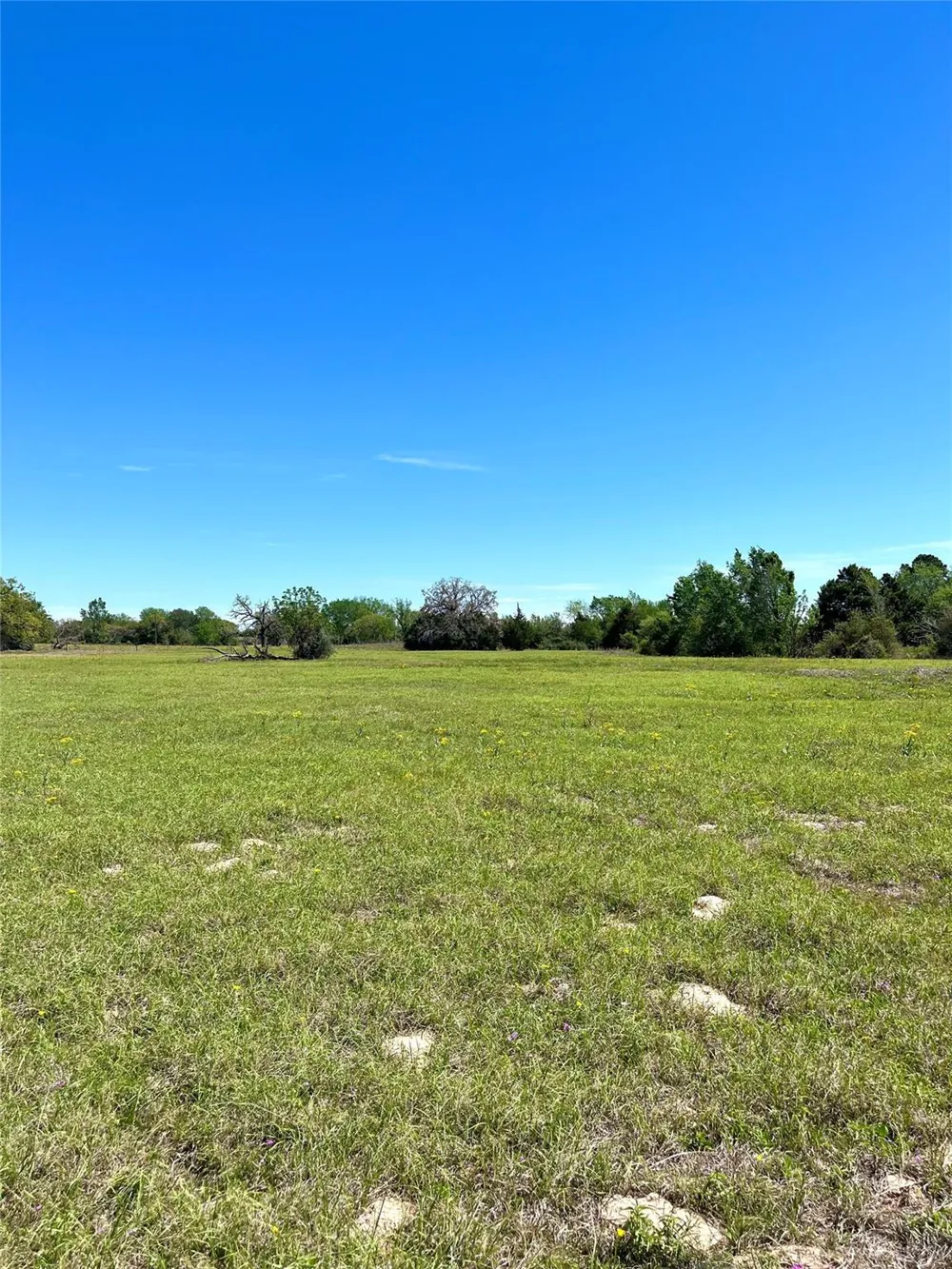 2654 County Road 329 Lincoln, TX 78948