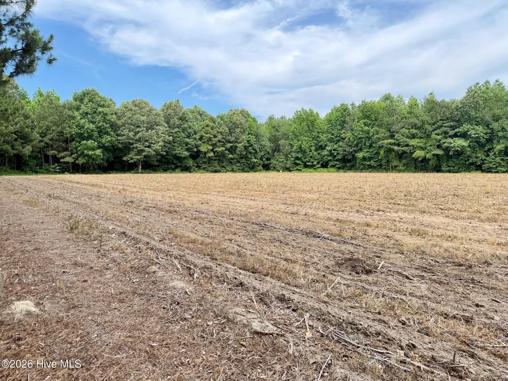 0 Off 1040d Republican Road Windsor, NC 27983
