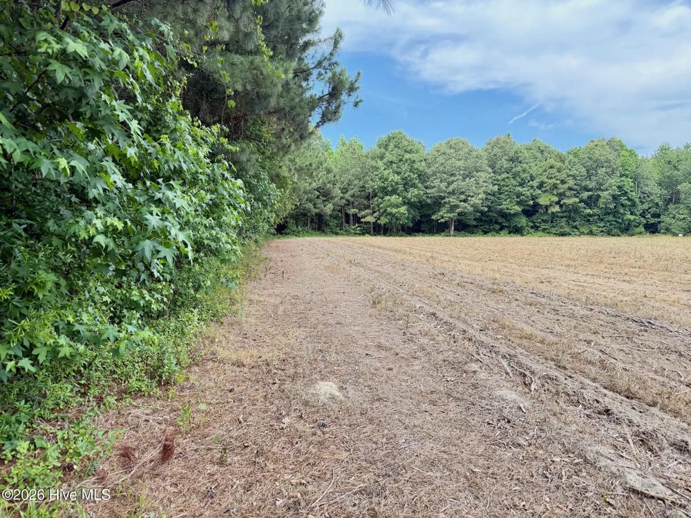 0 Off 1040d Republican Road Windsor, NC 27983