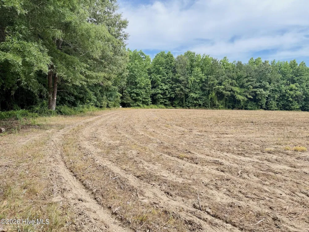 0 Off 1040d Republican Road Windsor, NC 27983