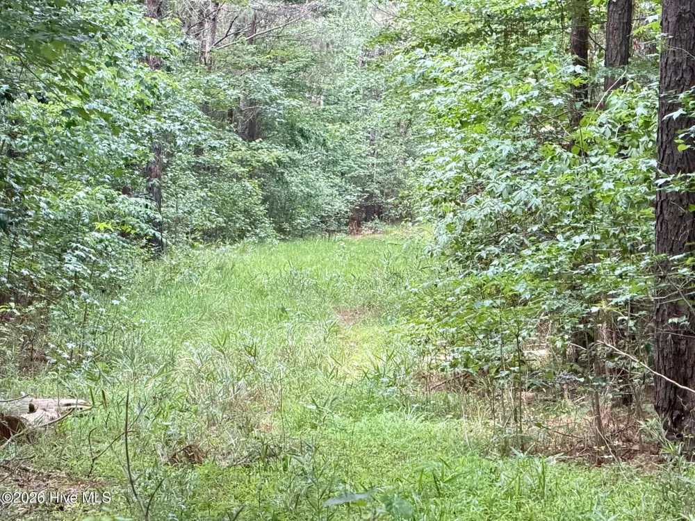 0 Off 1040d Republican Road Windsor, NC 27983