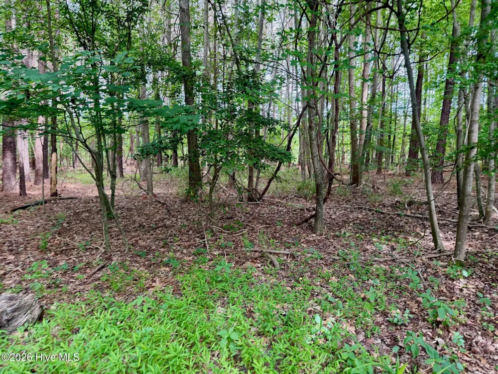 0 Off 1040d Republican Road Windsor, NC 27983