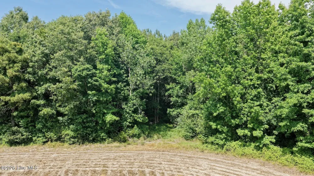 0 Off 1040d Republican Road Windsor, NC 27983