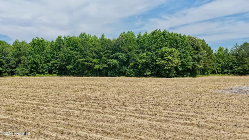 0 Off 1040d Republican Road Windsor, NC 27983