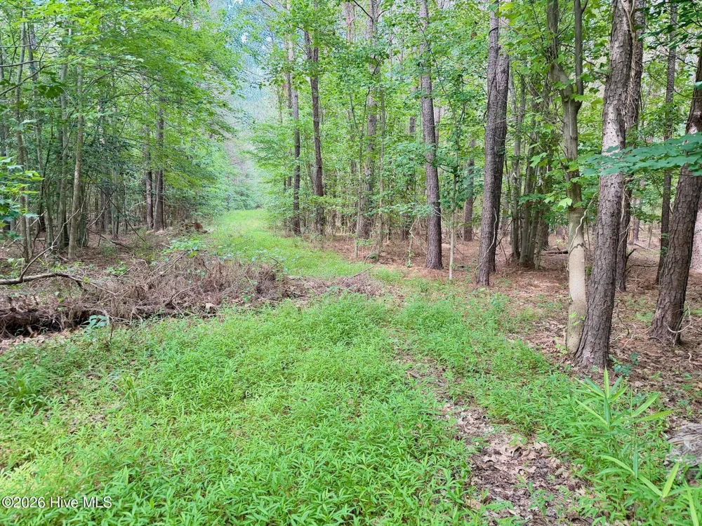 0 Off 1040d Republican Road Windsor, NC 27983