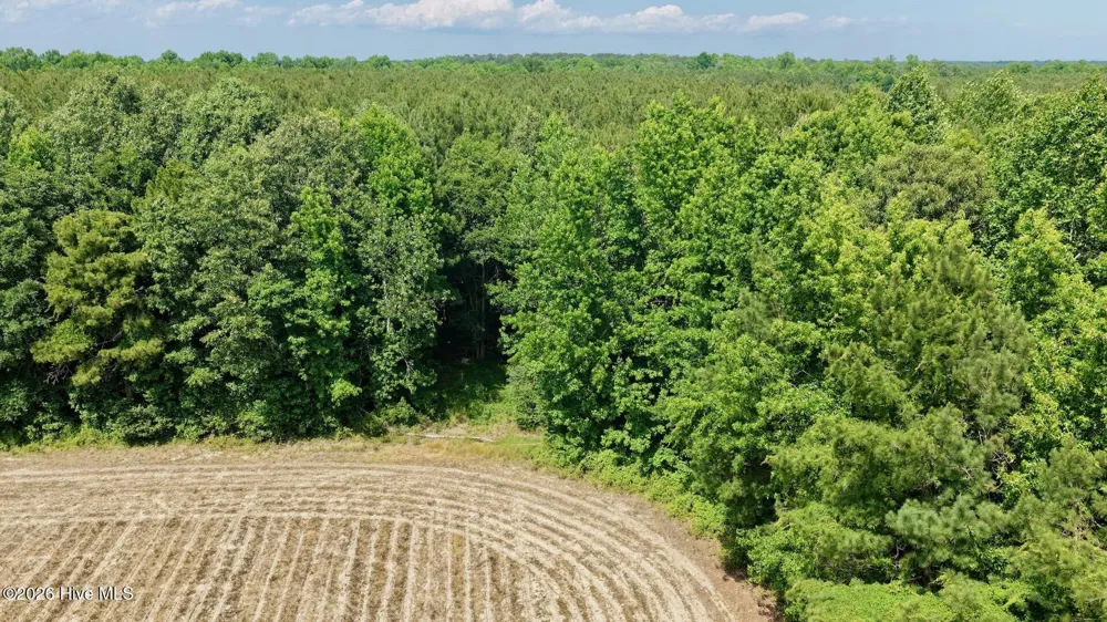 0 Off 1040d Republican Road Windsor, NC 27983
