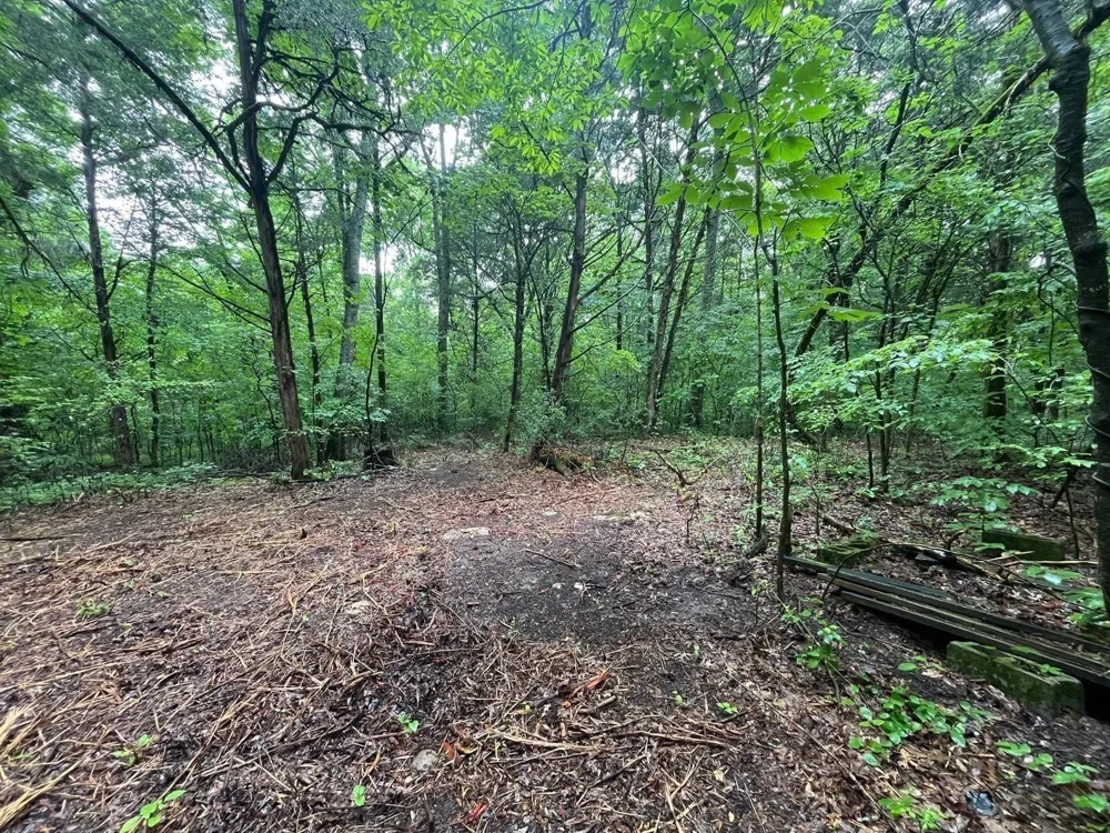 0 Anderson Ln Chapel Hill, TN 37034