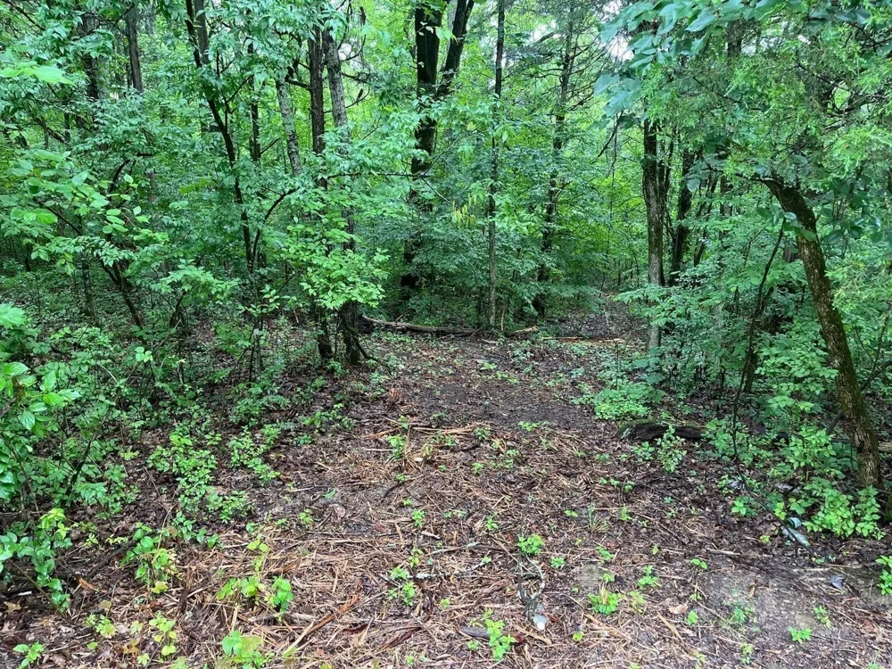 0 Anderson Ln Chapel Hill, TN 37034