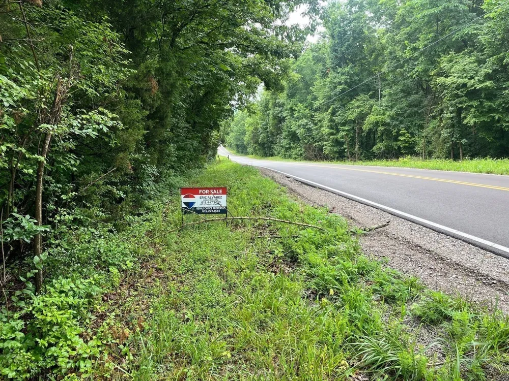 0 Anderson Ln Chapel Hill, TN 37034
