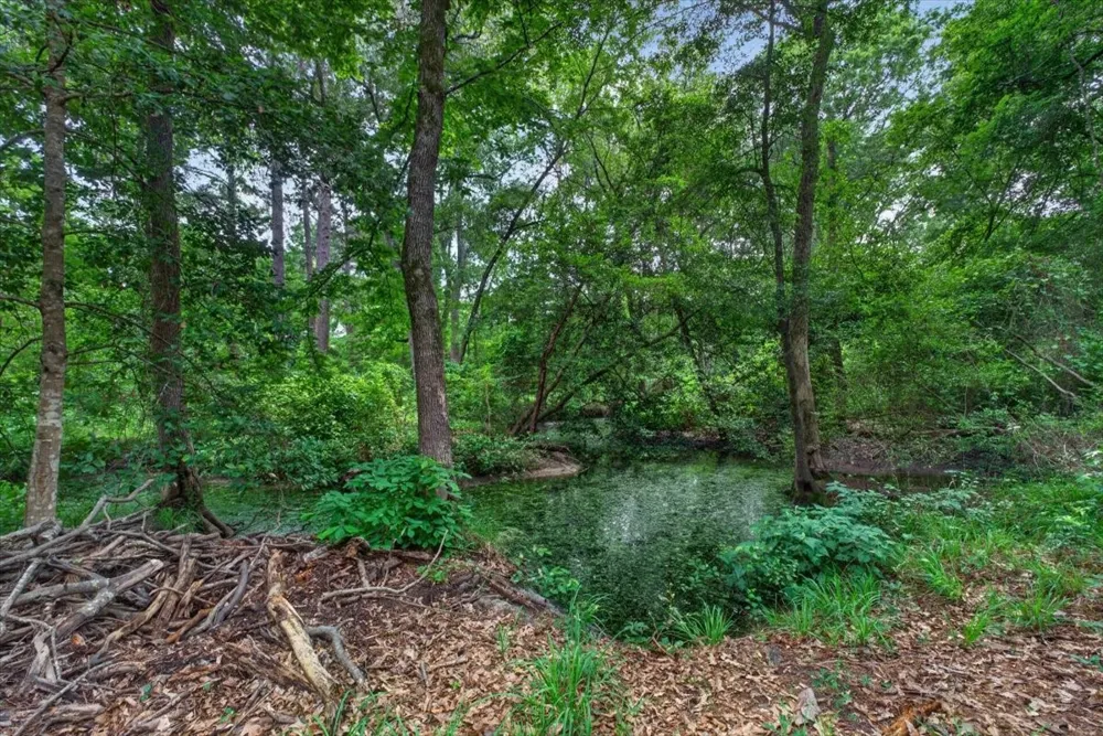 21277 Joe Paul Lane Chandler, TX 75758