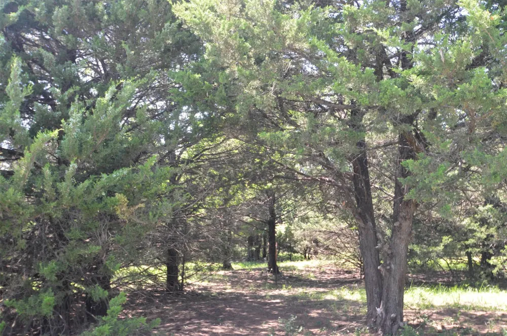 21 W FM 120 Highway Pottsboro, TX 75076
