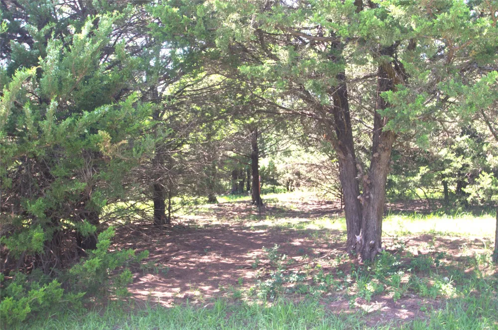 21 W FM 120 Highway Pottsboro, TX 75076