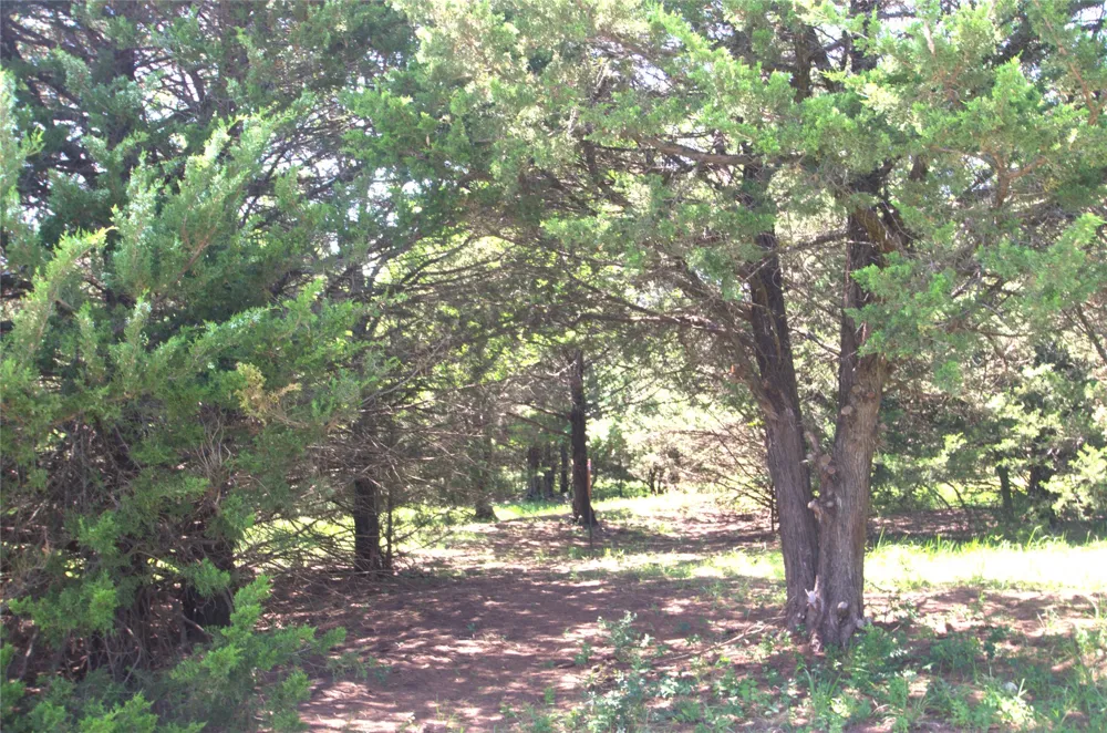 21 W FM 120 Highway Pottsboro, TX 75076