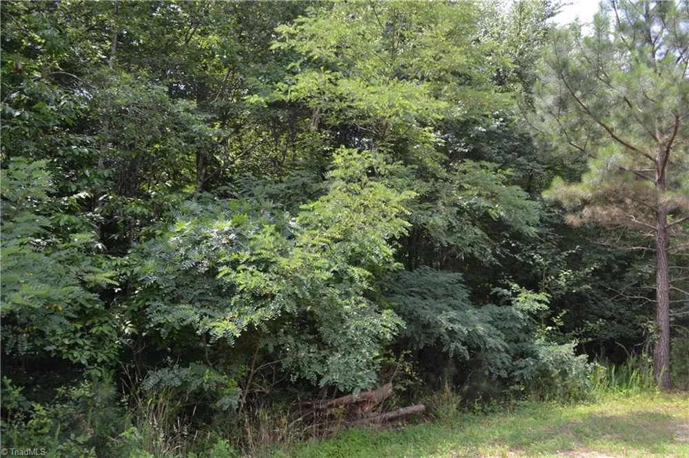 Lot 00 Ponderosa Road Stoneville, NC 27048