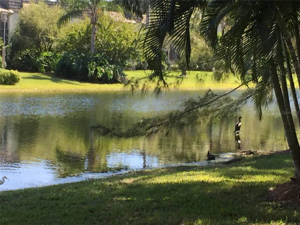 1645 SPOONBILL LANE #C Naples, FL 34105