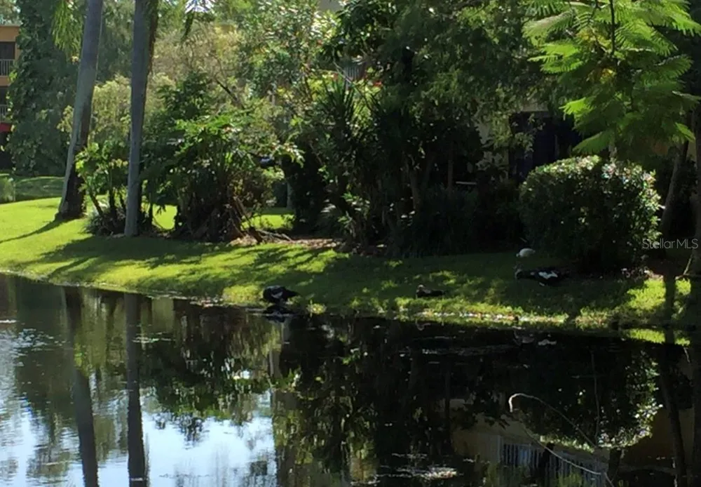 1645 SPOONBILL LANE #C Naples, FL 34105