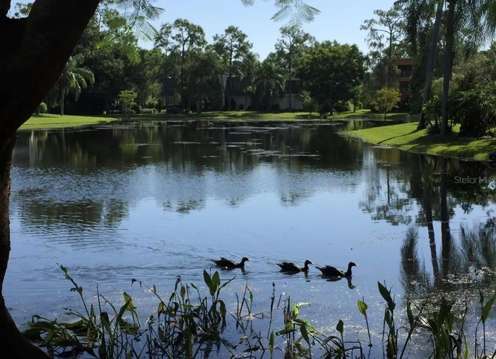 1645 SPOONBILL LANE #C Naples, FL 34105