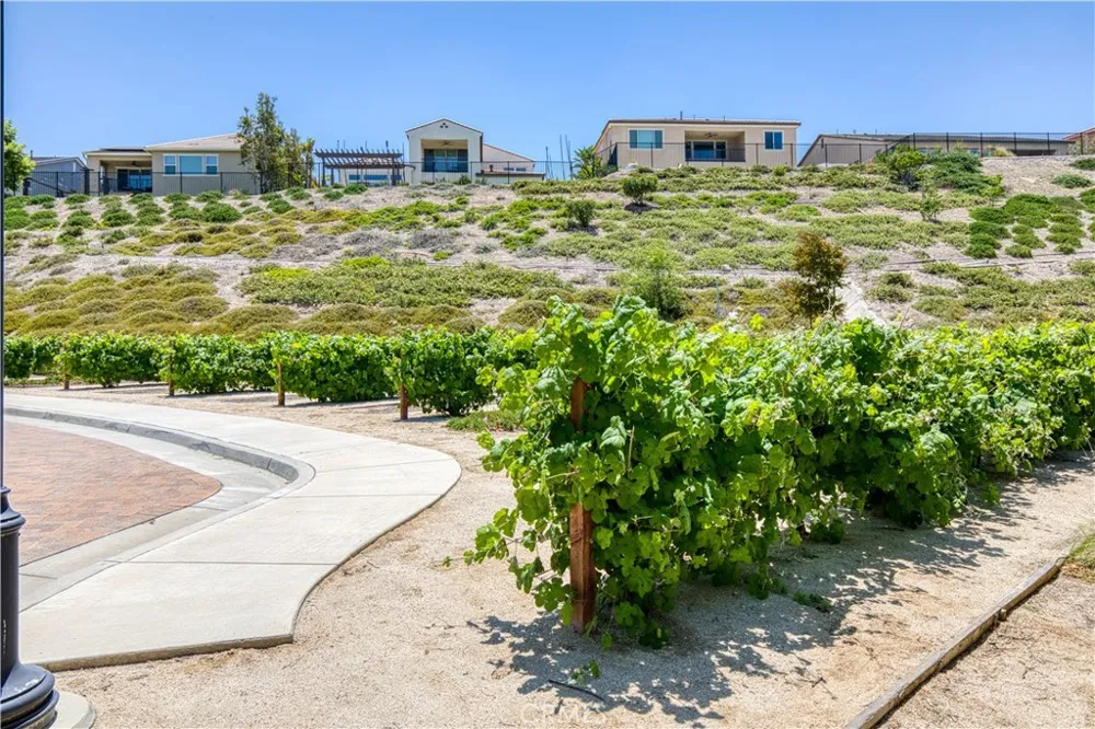 2725 Sierra Bella Drive Corona, CA 92882