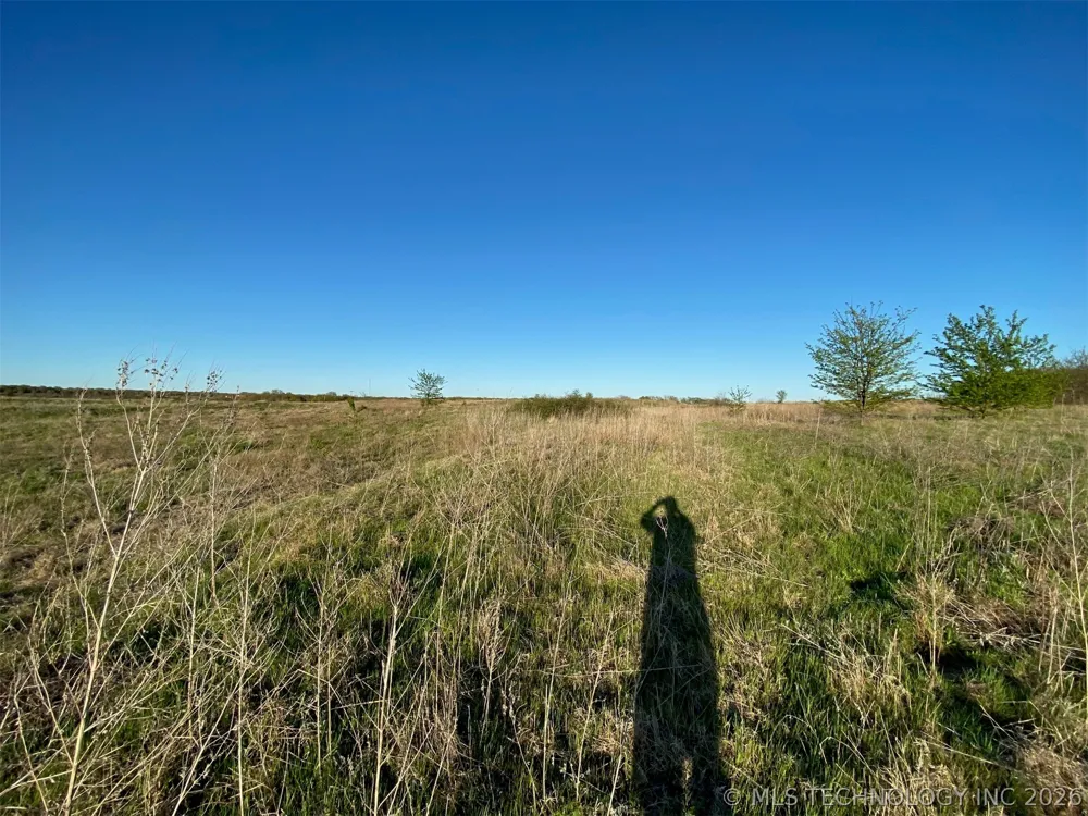 Wildflower Healdton, OK 73463