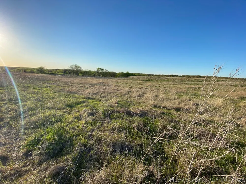 Wildflower Healdton, OK 73463