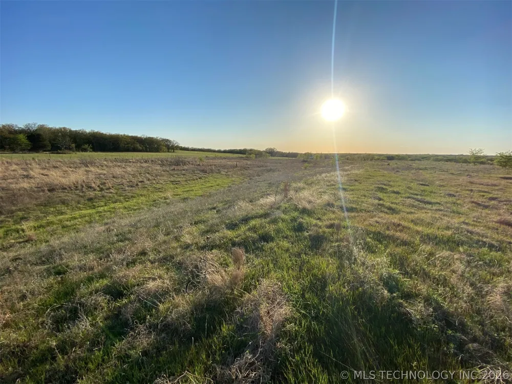 Wildflower Healdton, OK 73463