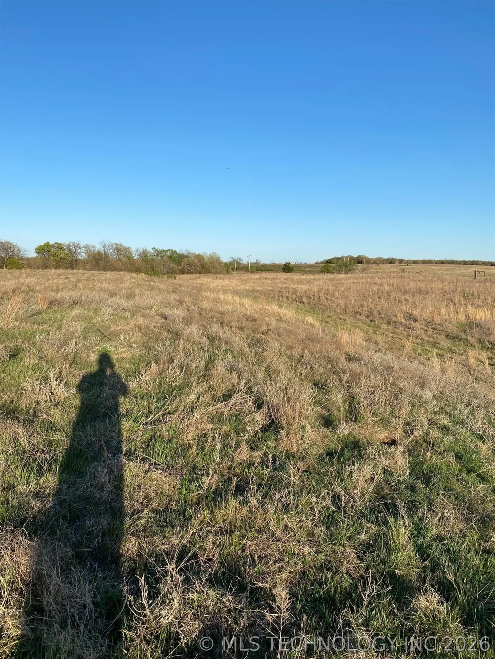 Wildflower Healdton, OK 73463