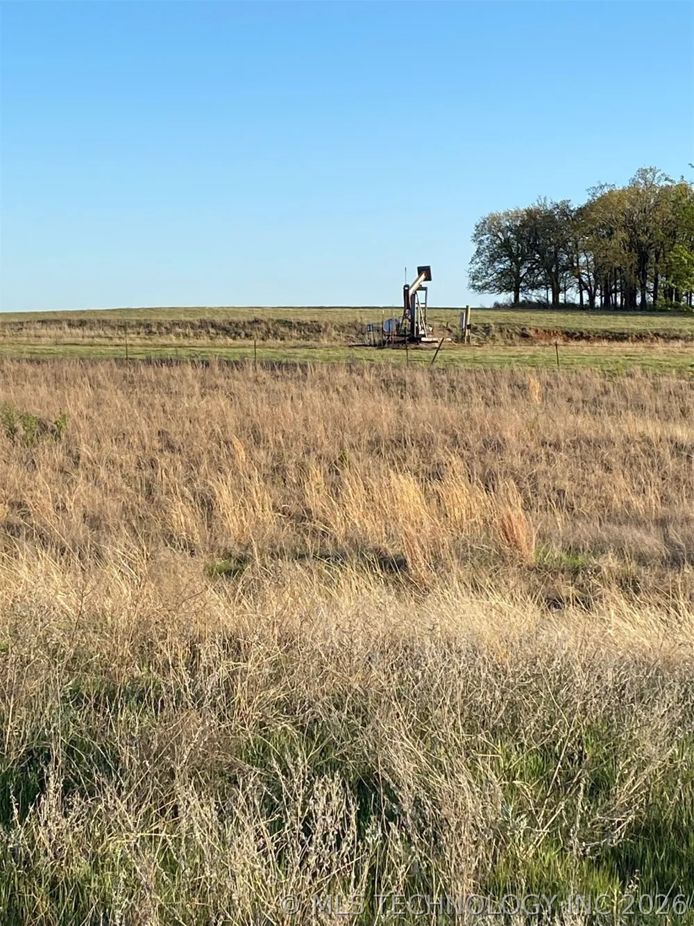 Wildflower Healdton, OK 73463