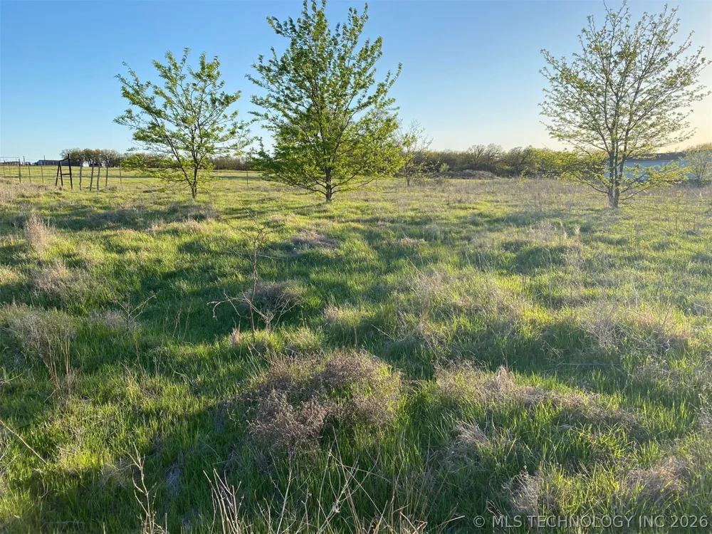 Wildflower Healdton, OK 73463