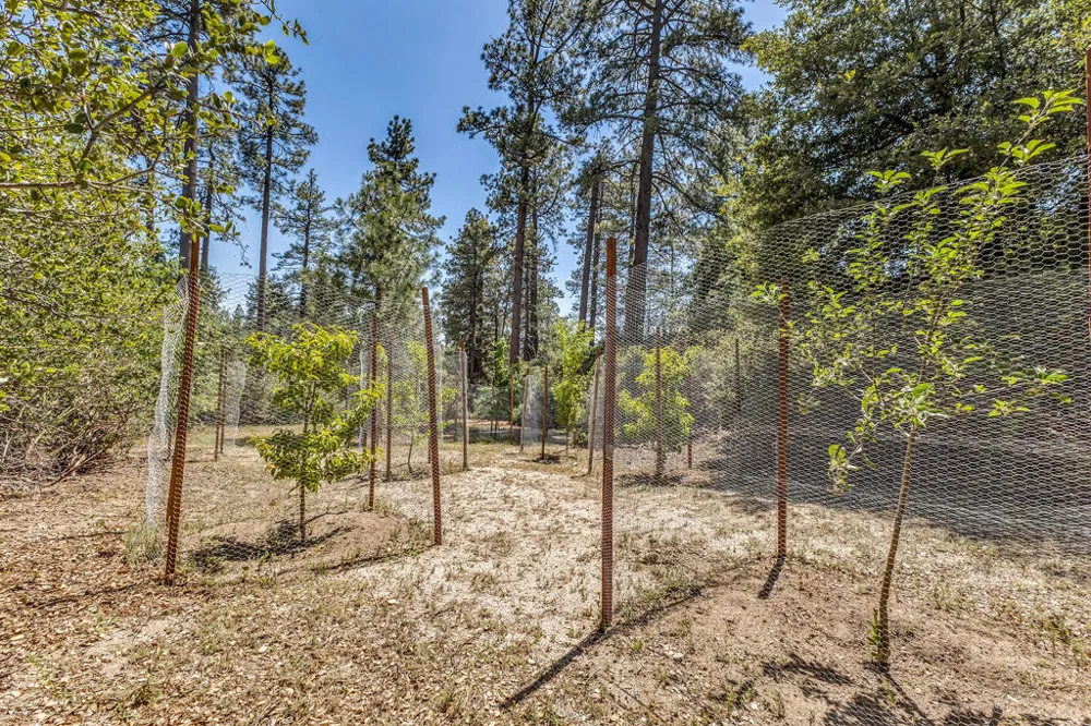 54425 Jameson Drive Idyllwild, CA 92549
