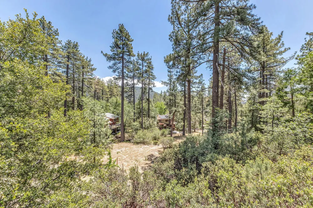54425 Jameson Drive Idyllwild, CA 92549