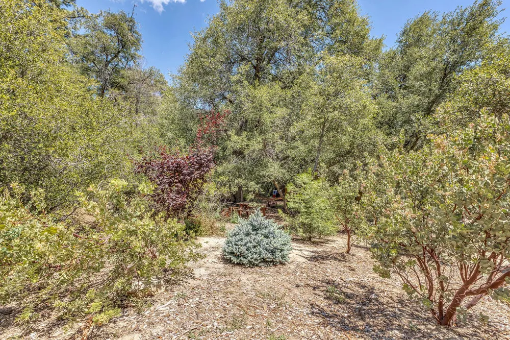 54425 Jameson Drive Idyllwild, CA 92549