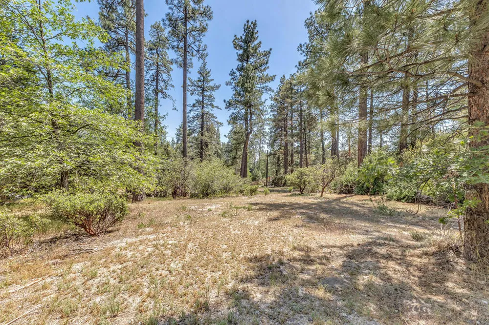 54425 Jameson Drive Idyllwild, CA 92549