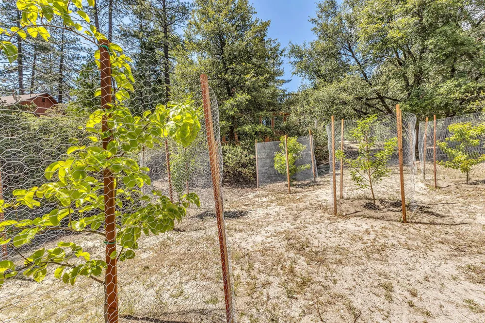 54425 Jameson Drive Idyllwild, CA 92549