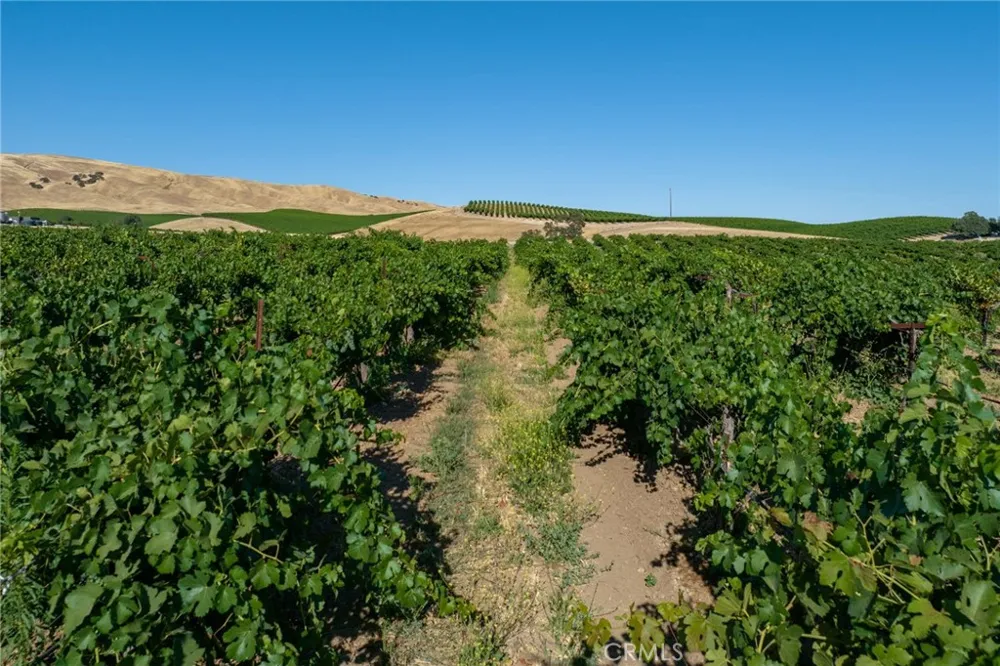 8585 Cross Canyons San Miguel, CA 93451