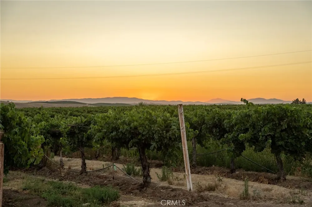 8585 Cross Canyons San Miguel, CA 93451