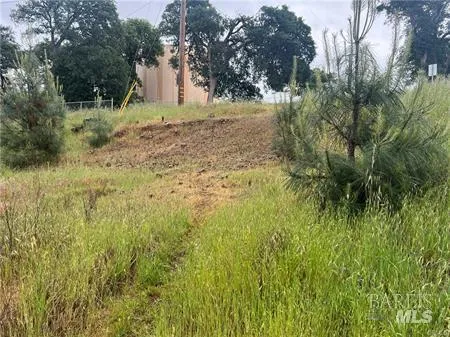 2995 Oak Crest Drive Clearlake, CA 95423
