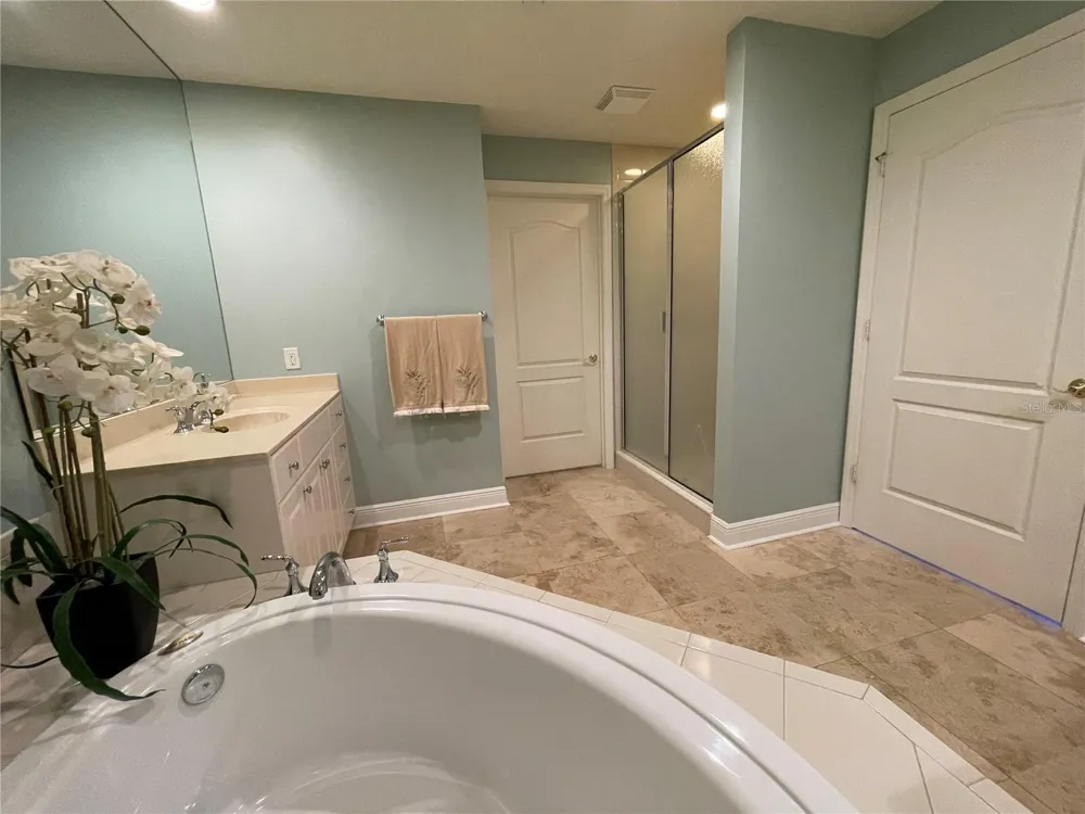 521 MANDALAY AVENUE #309 Clearwater Beach, FL 33767