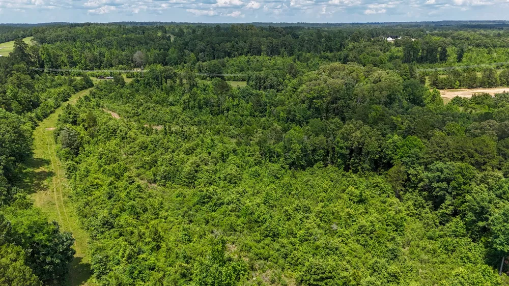 Avinger Cutoff Road Avinger, TX 75630