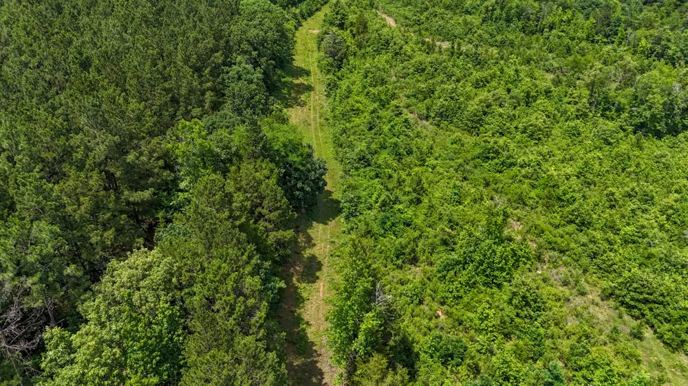 Avinger Cutoff Road Avinger, TX 75630