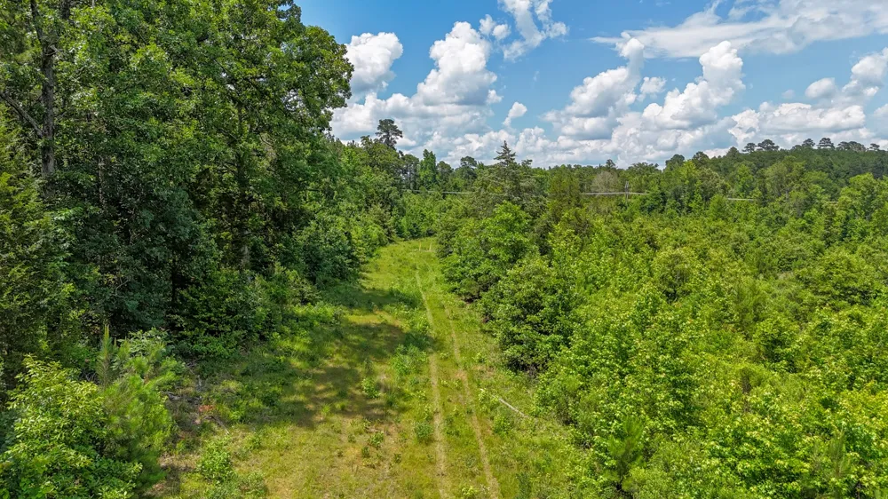 Avinger Cutoff Road Avinger, TX 75630