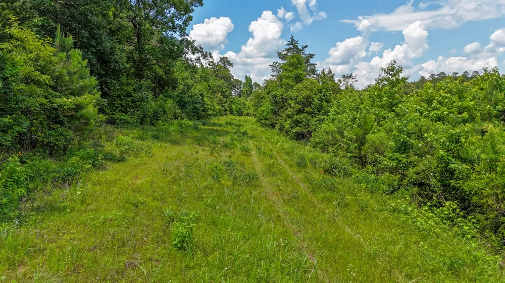 Avinger Cutoff Road Avinger, TX 75630