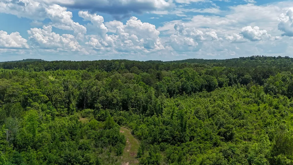 Avinger Cutoff Road Avinger, TX 75630
