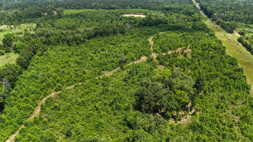 Avinger Cutoff Road Avinger, TX 75630