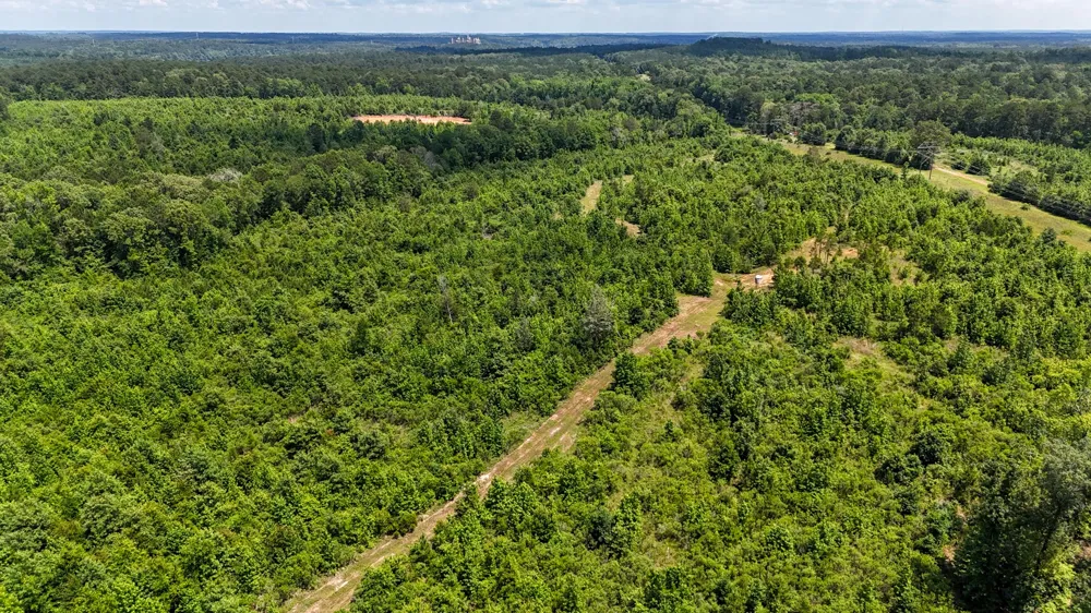 Avinger Cutoff Road Avinger, TX 75630
