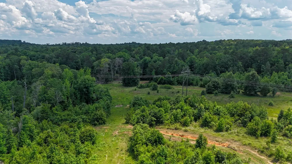 Avinger Cutoff Road Avinger, TX 75630