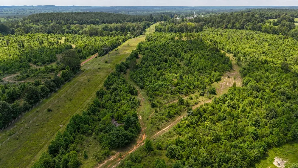 Avinger Cutoff Road Avinger, TX 75630