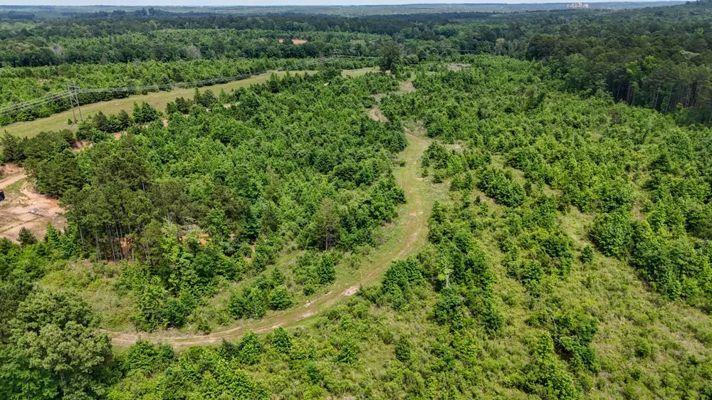 Avinger Cutoff Road Avinger, TX 75630