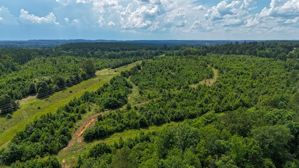 Avinger Cutoff Road Avinger, TX 75630