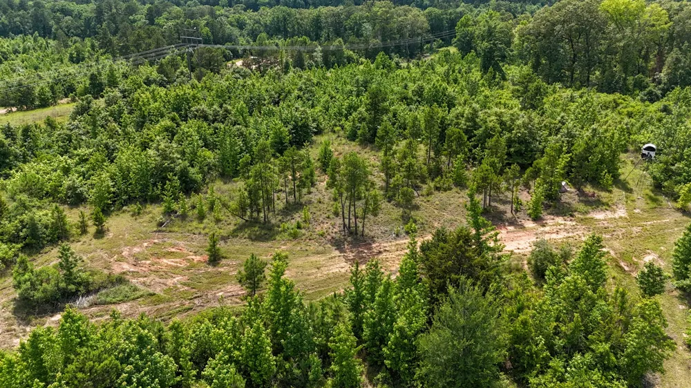 Avinger Cutoff Road Avinger, TX 75630
